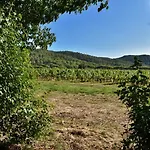 Maison En Pierre Rénovée Avec Jardin Et Piscine Privative Chauffée Hébergement de vacances Hyères