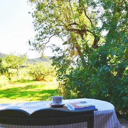 Maison En Pierre Renovee Avec Jardin Et Piscine Privative Chauffee Йер