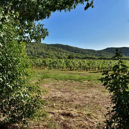 Maison En Pierre Rénovée Avec Jardin Et Piscine Privative Chauffée Hébergement de vacances Hyères